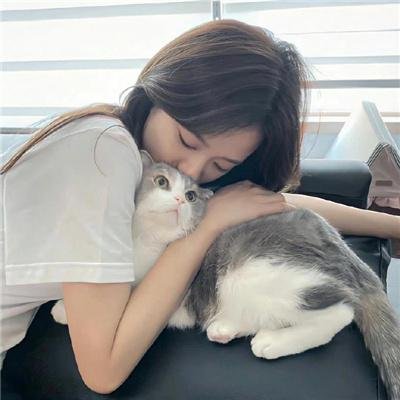 厨神小当家第二季